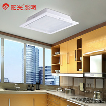 Sun lighting ceiling lamp Embedded kitchen bathroom kitchen lamp Milk white 36W25W45W tile QT51001