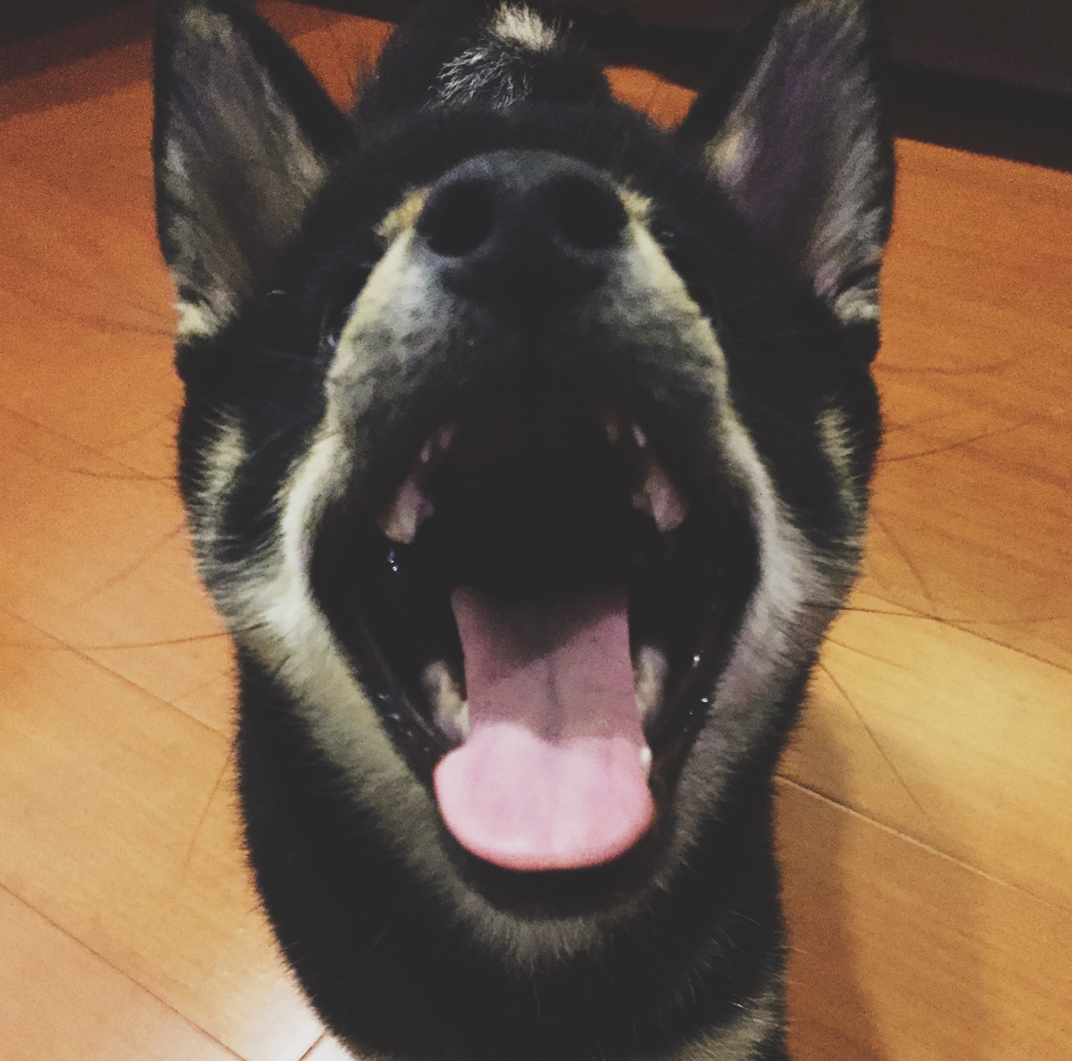 The postal fee difference is not allowed to collect a single discount roll deduction invalid submission order customer service price change