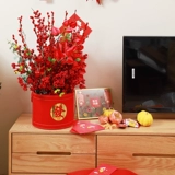 Зимний Qingguo новогодний новый год.