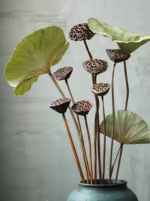 Qianhua Qianjia decorative natural ornaments with dried seeds, Lotus, long pole, real pole, dry flower bouquet, living room decoration