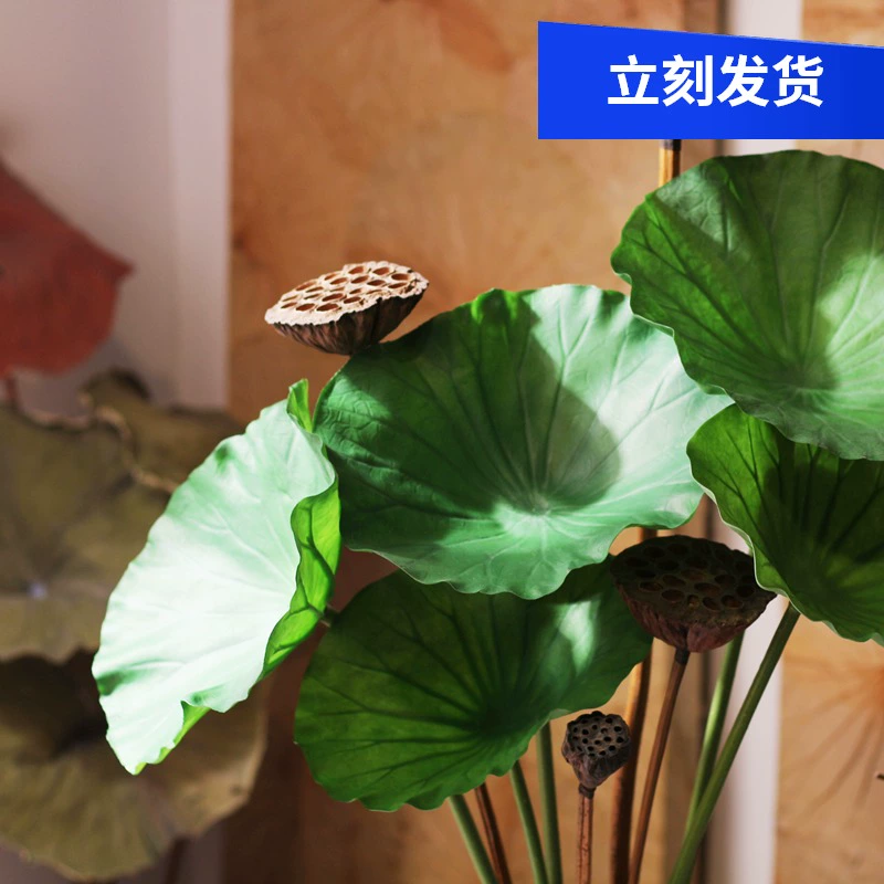 Ngàn đời mô phỏng hoa sen lá sen hoa sen trang trí mô phỏng hoa hạ cánh bó hoa trang trí hoa lụa hoa trang trí - Trang trí nội thất
