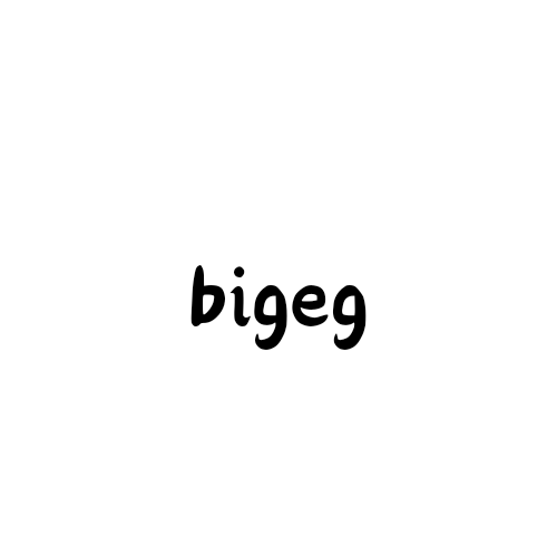 bigeg定制的LOGO