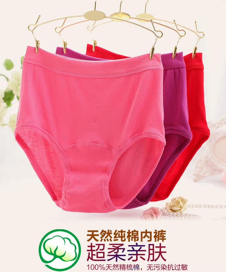 Slip Moyen-âge simple en coton - Ref 642545 Image 7