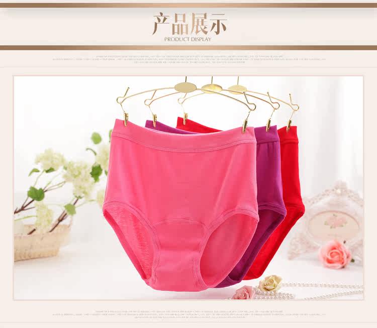 Slip Moyen-âge simple en coton - Ref 642545 Image 19