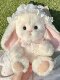 Recordable Talking Lilian Lop-Eared Rabbit Doll DIY Craft Kit LAOSHU Make Long-Eared Rabbit Plush Toy