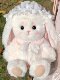Recordable Talking Lilian Lop-Eared Rabbit Doll DIY Craft Kit LAOSHU Make Long-Eared Rabbit Plush Toy