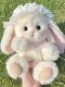 Recordable Talking Lilian Lop-Eared Rabbit Doll DIY Craft Kit LAOSHU Make Long-Eared Rabbit Plush Toy