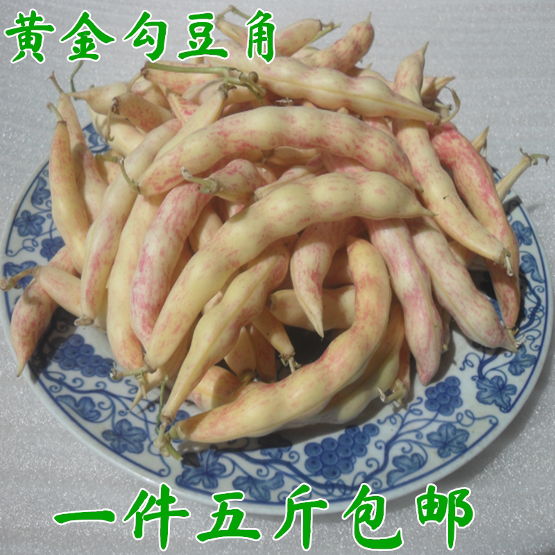 Northeast Teryield gold Hook Bean Corner Farmhouse All Season Fresh Vegetables A Few Beans August Busy Oil Bean Corner Overseason Shortage