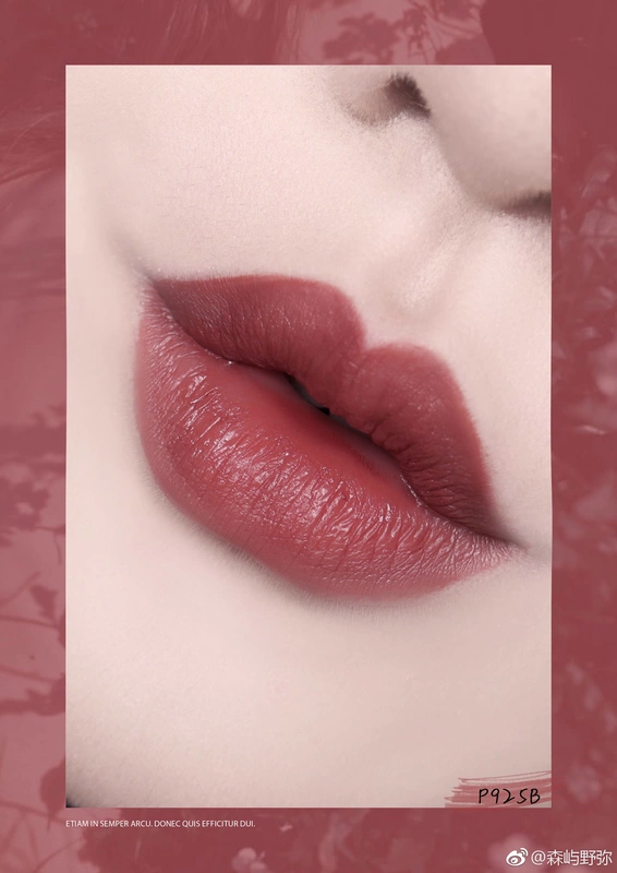 Hoa Kỳ WNW Wet n Wild Wet n wet and dumb lip gloss lip glaze 922B 930B 925B - Son bóng / Liquid Rouge