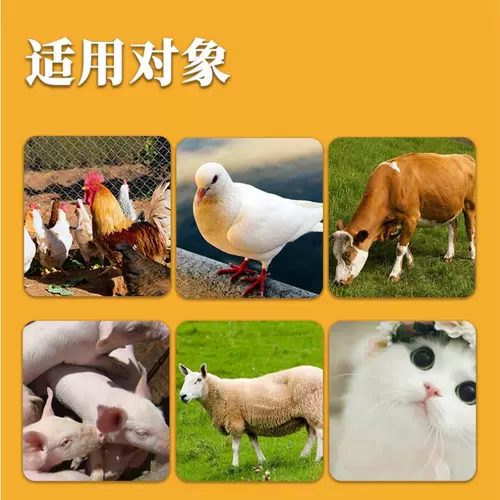 Ветеринарная 21 золотая вита электролитическая мультивитаминская куриная утка гусей свиней скот -домашние животные улучшают иммунитет, профилактику стресса и профилактику заболеваний