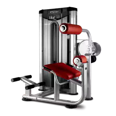 BH Biaiqi single station strength equipment Core muscle group special trainer L510 back muscle trainer
