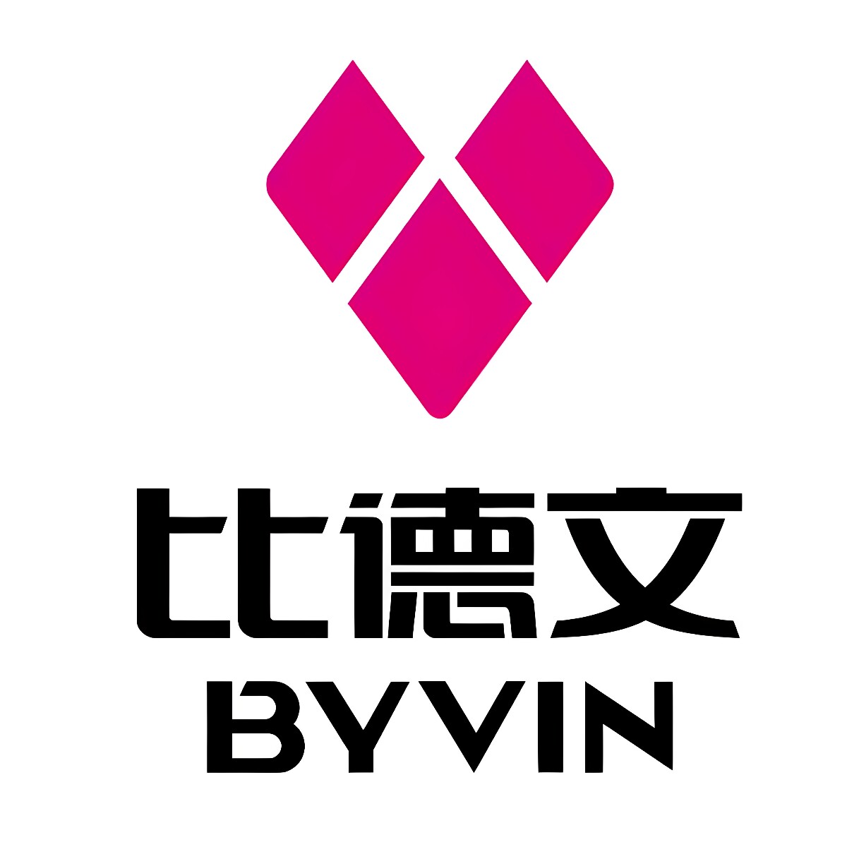 比德文电动车品牌店