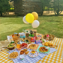 Moisture-proof mat Outdoor picnic mat ins Wind spring outing supplies full set of props portable waterproof camping padded beach mat