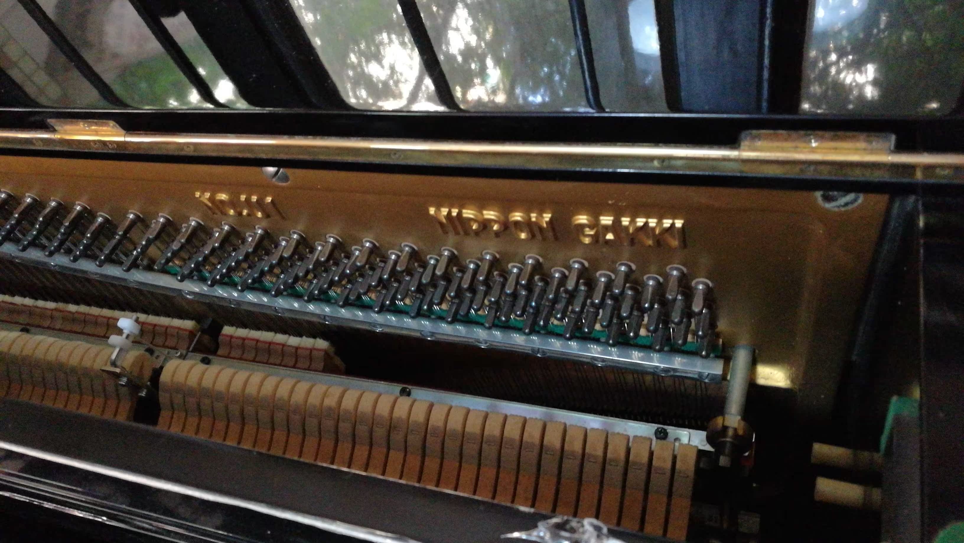 Đổi mới piano im lặng 1 dương cầm