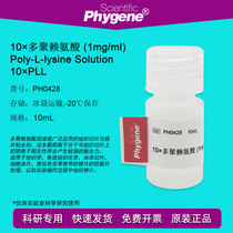 10 x Polylysine 1mg mL Slide Adhesive 10mL PH0428 PHYGENE]