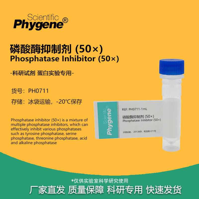 磷酸酶抑制剂 (50&times;) Phosphatase Inhibitor 5ML 蛋白实验用