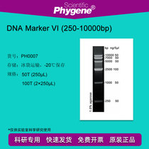 DNA Marker (250-10000bp) 100T 2×250μL PH0007 PHYGENE]