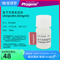PH1543 ammonia benzephrine solution Ampicillin 50mg mL scientific research 10mL PHYGENE