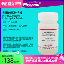 Polyglycine solution (1×) polyglomerate-L-lysine slice slide packet is liquid adhesive 50mL