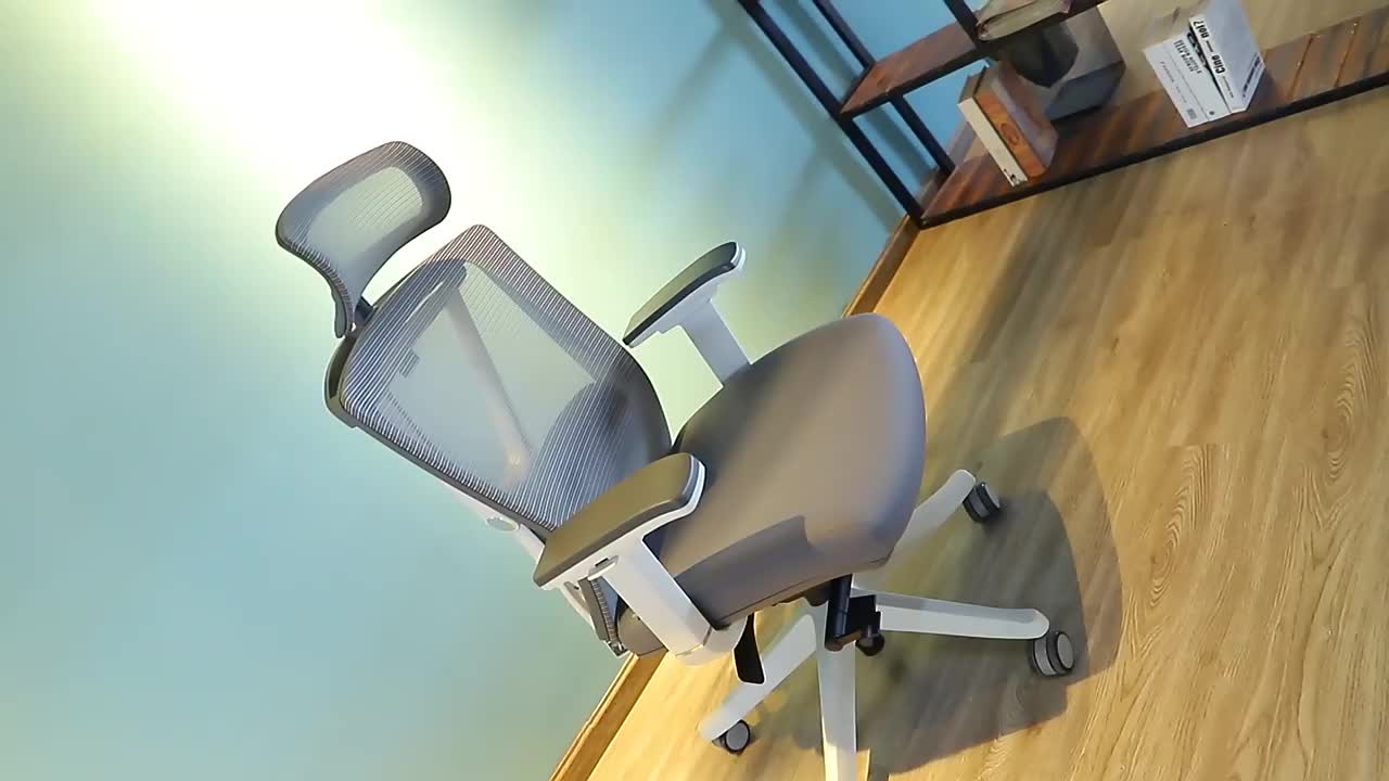 Ergochair pro Clearance
