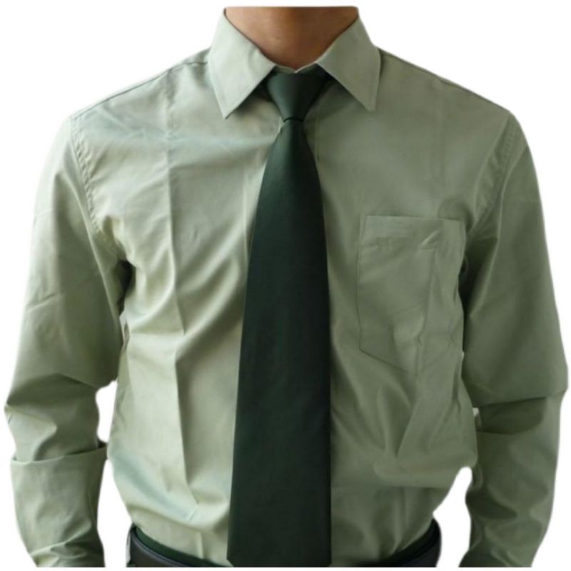 No-Iron Long-Sleeved Solid Color Light Green Undershirt, Men's and Women's Long-Sleeved Light Green Undershirt, Quick-Drying Slim Fit Shirt
