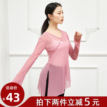 Classical dress dress fluttering dance practice suits adult coat mesh shape training Chinese dance rhyme clothing summer