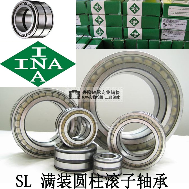 Japan Import with sealed double-row full equipped cylindrical SL04 SL04 5004PP NNF5004 NNF5004-2LSV