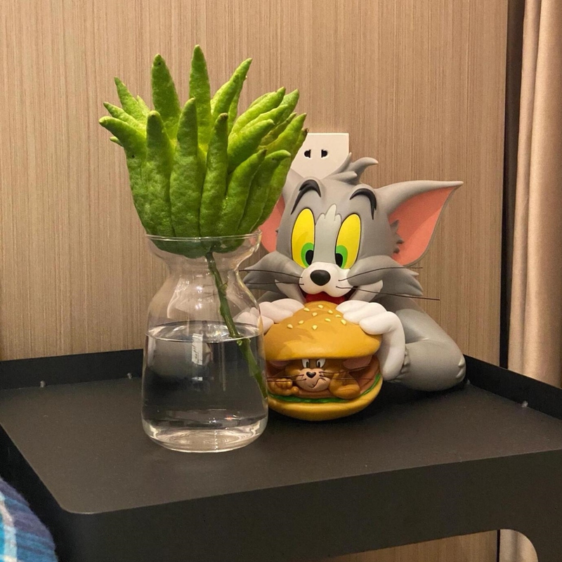 Bergamot Fruit Container Vase for Hydroponic Plants, Special Hydroponic Decorative Flower Arrangement Container, Ceramic Glass Transparent