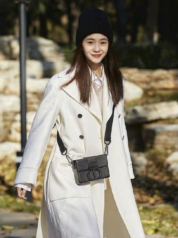 European Dior Dior stars with the same female package italica satchel Montian 30 BOX M9204SBAV