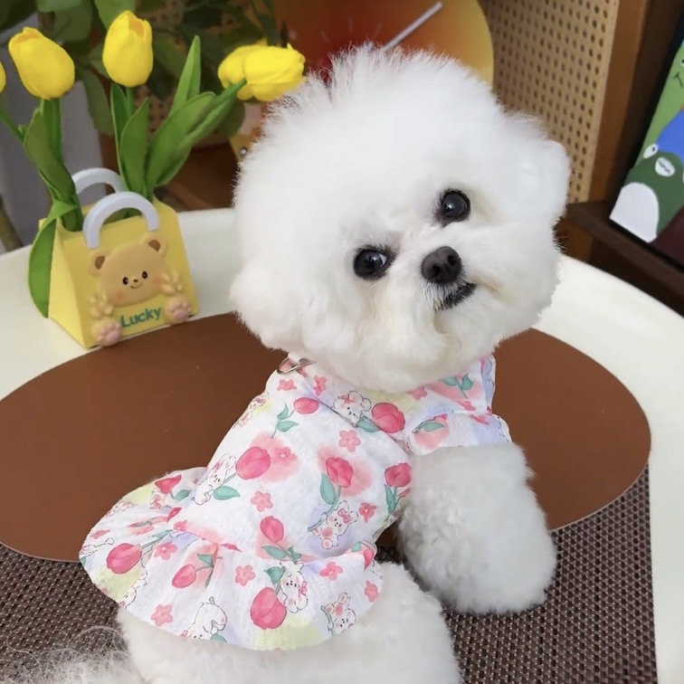 Dog Dress Princess Style Summer Thin Clothing Teddy Pomeranian Bichon Small Dog Clothes Pet Dress