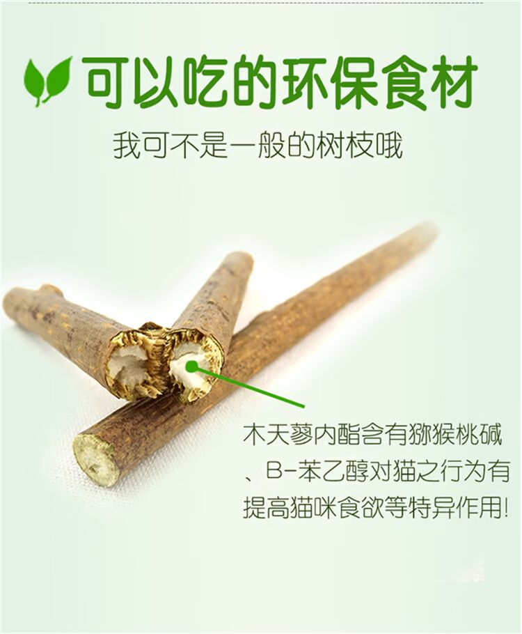 皇 宠物 棒 vào mèo ăn vặt gỗ tự nhiên 蓼 蓼 幼 猫 猫 调 调 hạt cho mèo con