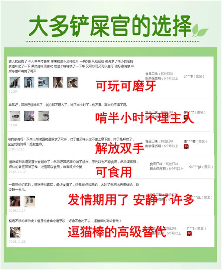 皇 宠物 棒 vào mèo ăn vặt gỗ tự nhiên 蓼 蓼 幼 猫 猫 调 调 hạt cho mèo con