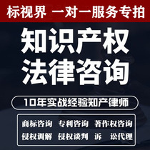 Standard Vision Trademark Rejection Review Objection Withdrawal Three Invalid Copywriting Consulting Services