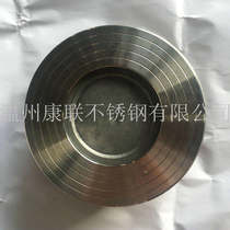 Factory Direct light 304 stainless steel H71 the clip-type check valve check valve PN25 DN15 20 80 65