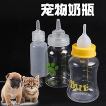 Newborn Kitty Young Cat Puppies Puppies Puppies Puppies Small Pacifiers Soft With Breast Feeder Kitty Cat Pets