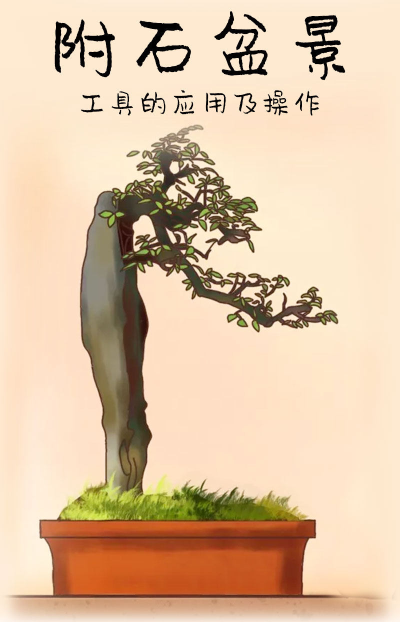 Точильное кольцо 附石盆景植物假山石头开槽雕刻打磨电磨手电钻切割盆栽树造型制作