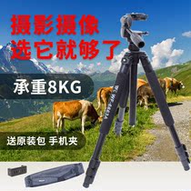 Weifeng WF-6663a tripod 3D cloud platform with Canon single anti-camera fishing lamp professional metal bracket