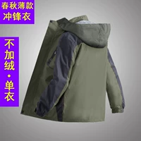 Мужской стиль CFY [тонкая модель] темно -зеленый цвет