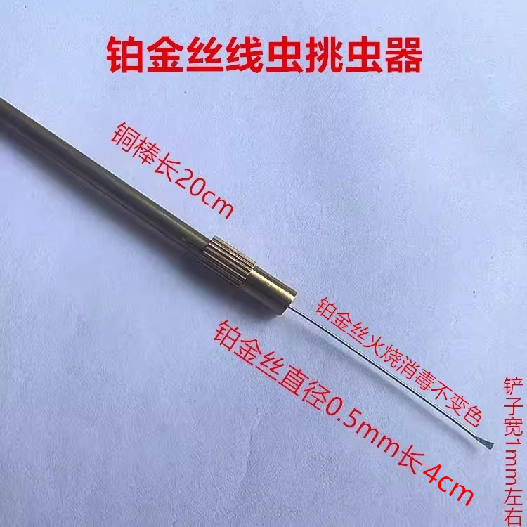 Xiuli Hidden Thread Insect Pickup Platinum Silk Insect Picking Needle LAOSHU Daily Experiment of Insect Picking Shovel Laboratory