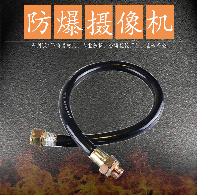 Explosion-proof camera flexible hose explosion-proof hose DN20 6 sub-explosion pipe explosion-proof camera connection tube