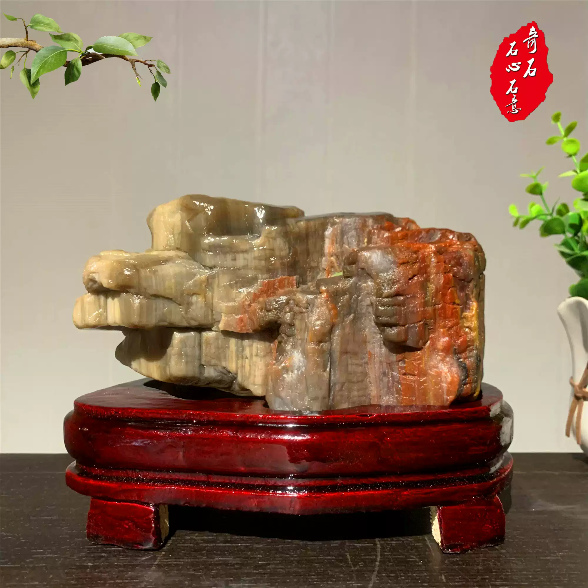 天然木化石原石硅化木树化玉石头观赏石奇石玉石家居装饰收藏摆件-淘宝