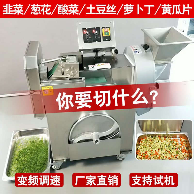 Double-head vegetable cutting machine Commercial multi-functional automatic canteen radish leek potato shredding cutting dicing machine