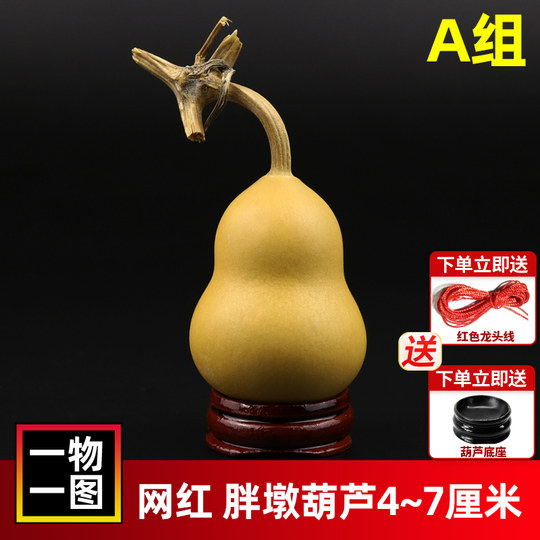 天然小葫芦精品胖墩葫芦手捻铁包金文玩小美国手把件烙画把玩上色