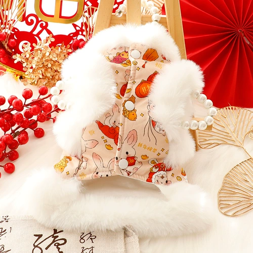 Одежда для собак, осенне-зимняя одежда, костюм принцессы Тан, год кролика, праздничная хлопковая одежда с мехом, одежда для маленьких собак, домашних животных 4353