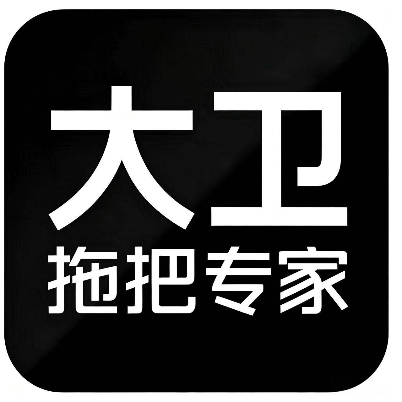 大卫精品优选店的LOGO