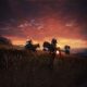 Steam Genuine Elden Ring Elden Ring China Region Activation Code Cdkey