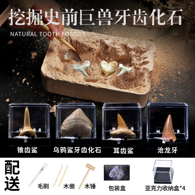 Fourth Grade Second Semester Geography Real Mineral Fossils Meteorites Archaeological Excavation Crystal Rock Teaching Specimens Children's Gifts Fourth Grade Second Semester Geography Real Mineral Fossils Meteorites Archaeological Excavation Crystal Rock Teaching Specimens Children's Gifts