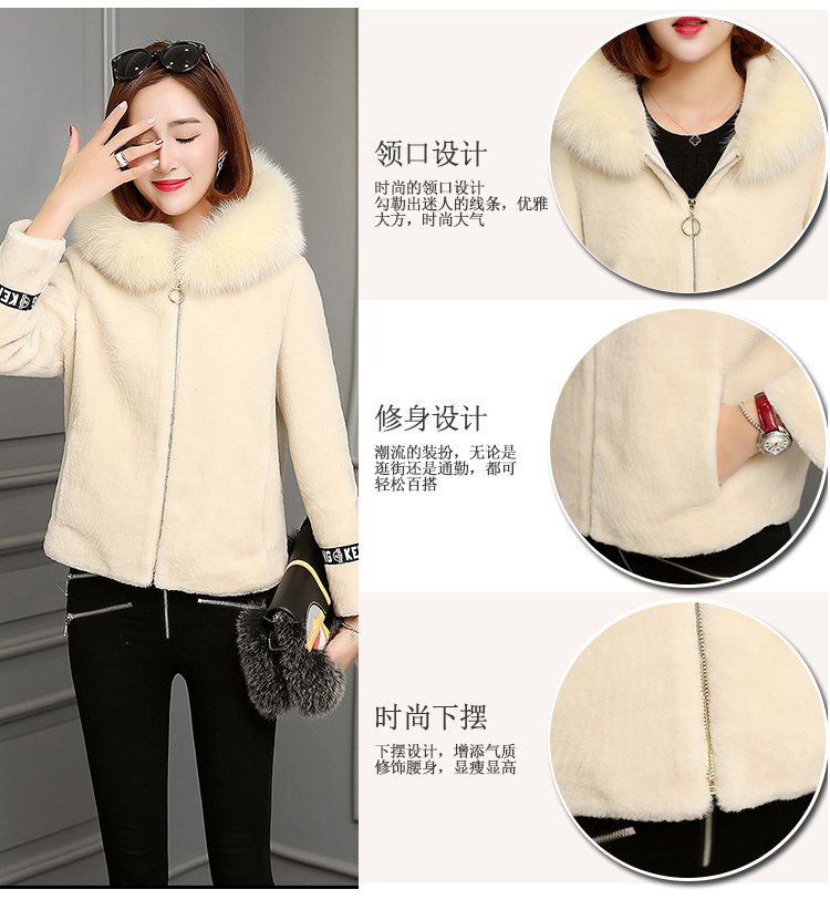 Xử lý cừu cắt coat Haining chống biển áo khoác lông thú nữ 2018 mới mùa đông lamb fur fur đoạn ngắn áo lông khoác ngoài váy