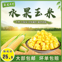 Corn grain sweet open bag ready-to-eat commercial cooked light food low sugar low fat fruit frozen fresh corn cup salad fishing