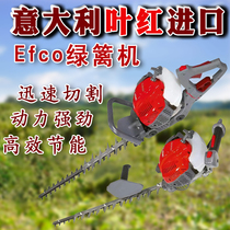 Italy Leaf Red Import High Power Petrol Green Fence Machine Single Hand Trimmer Portable Small Fence Cut